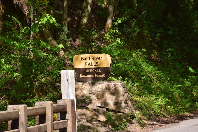 Bald Mountain Falls