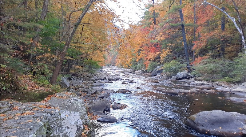 Bald Mountain Falls