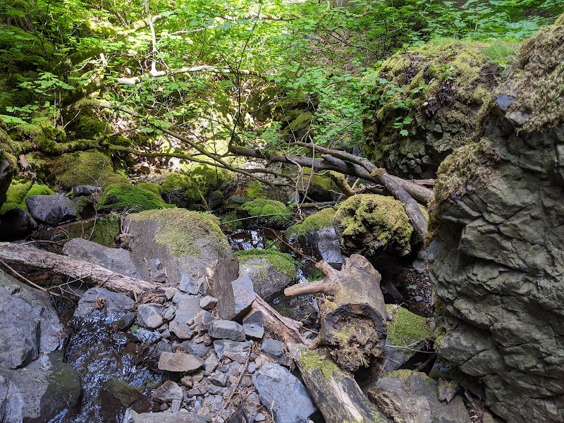 Cabin Creek Falls