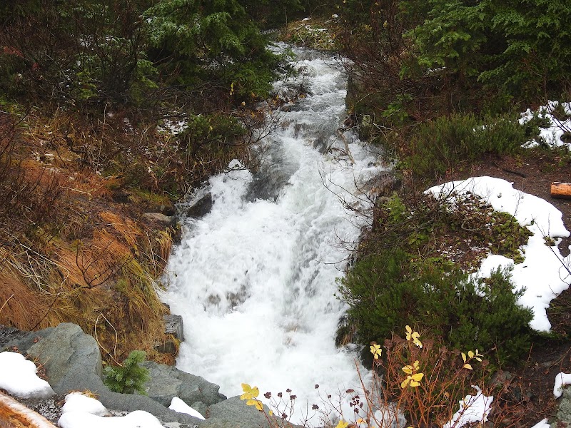 Chinook Creek Falls