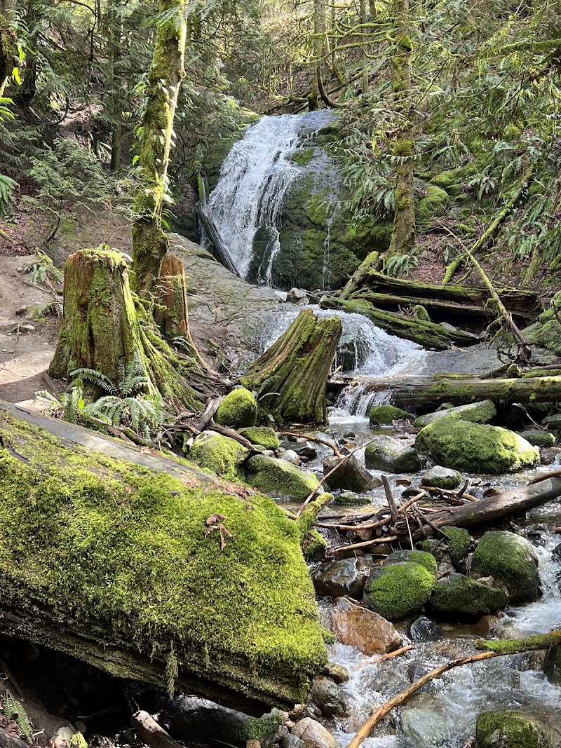 Coal Creek Falls