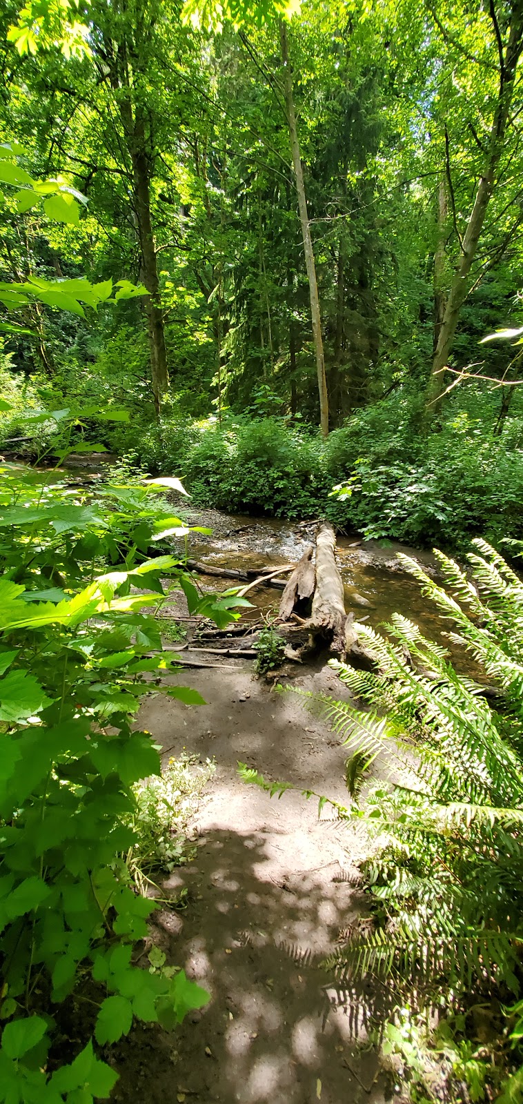 Coal Creek Falls