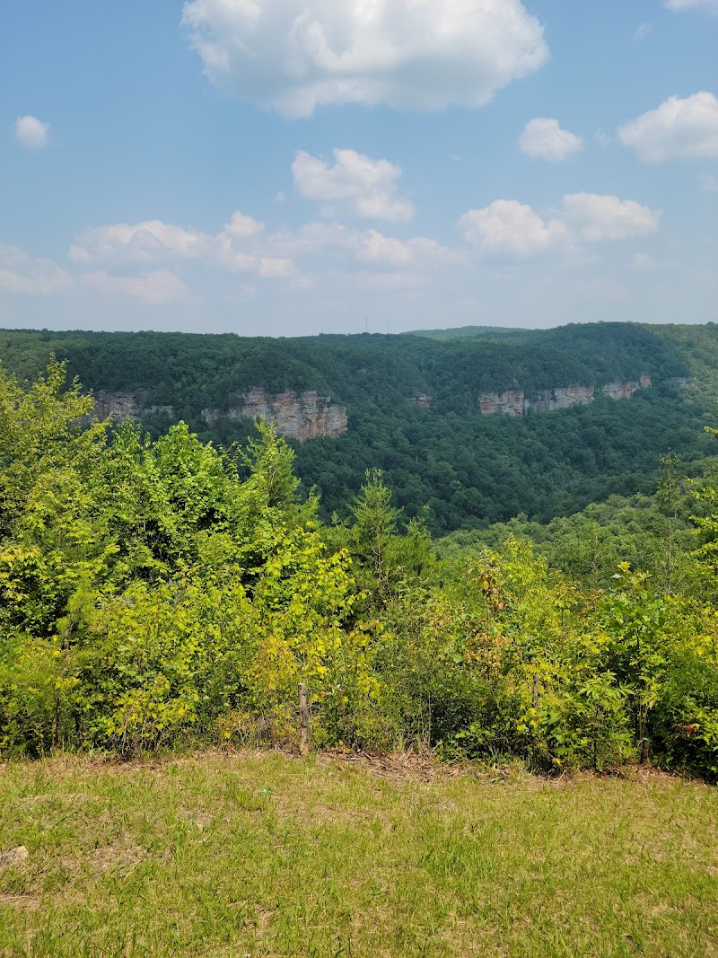 Cow Creek Falls