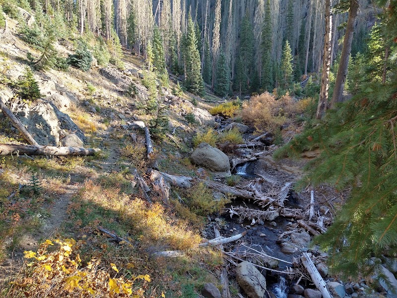 Falls Creek Falls