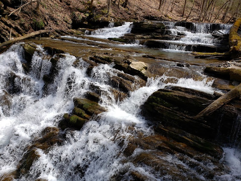 Falls Of Abraham