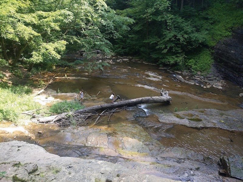 Falls Of Abraham