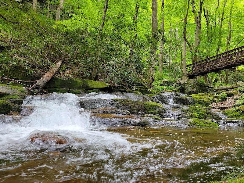 Gilbert Falls
