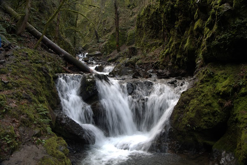 Gorton Creek Falls