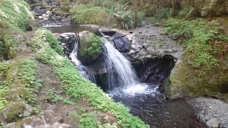 Gorton Creek Falls