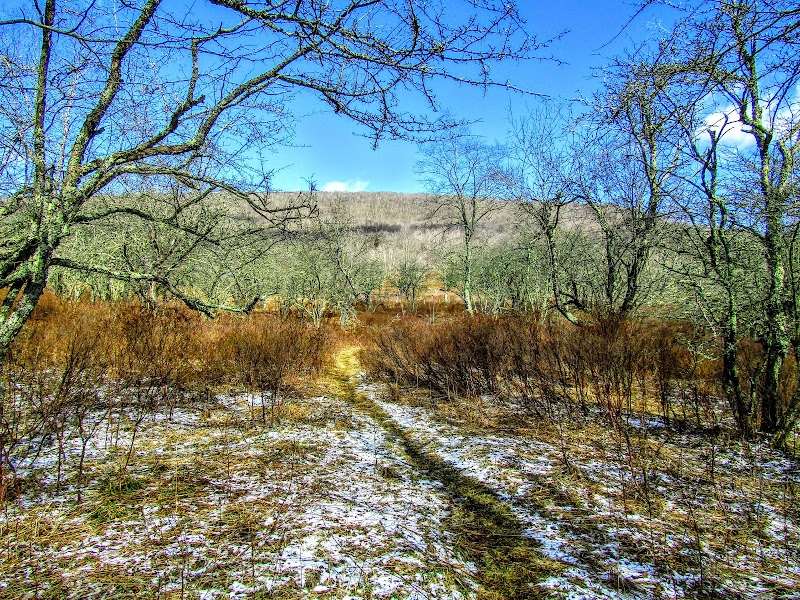 Hilding Falls