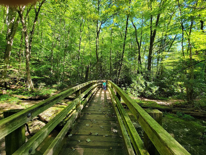Hopkins Creek Falls