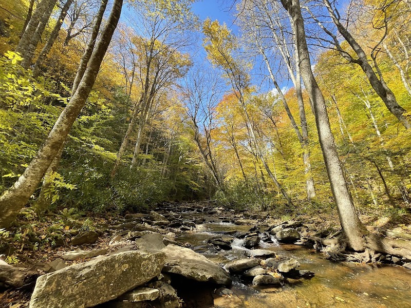 Hopkins Creek Falls