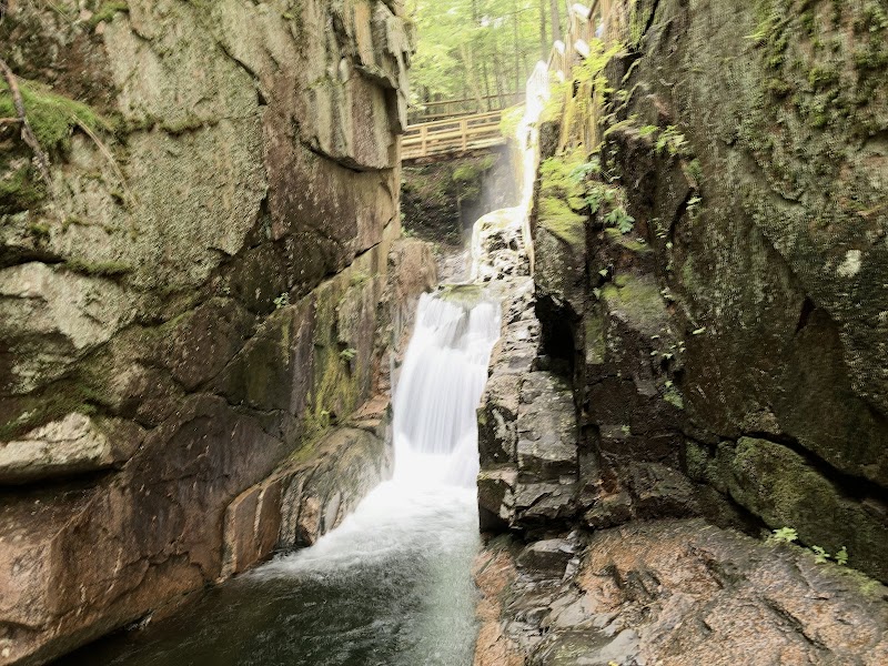 Isabel Falls