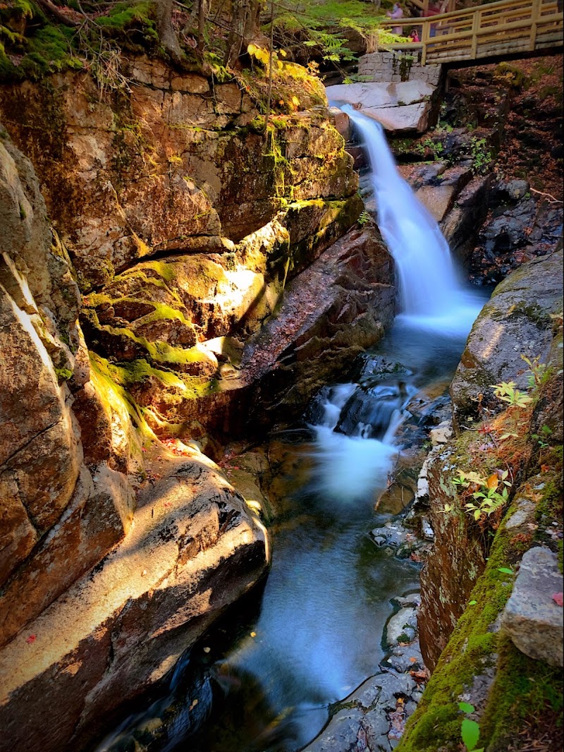 Isabel Falls