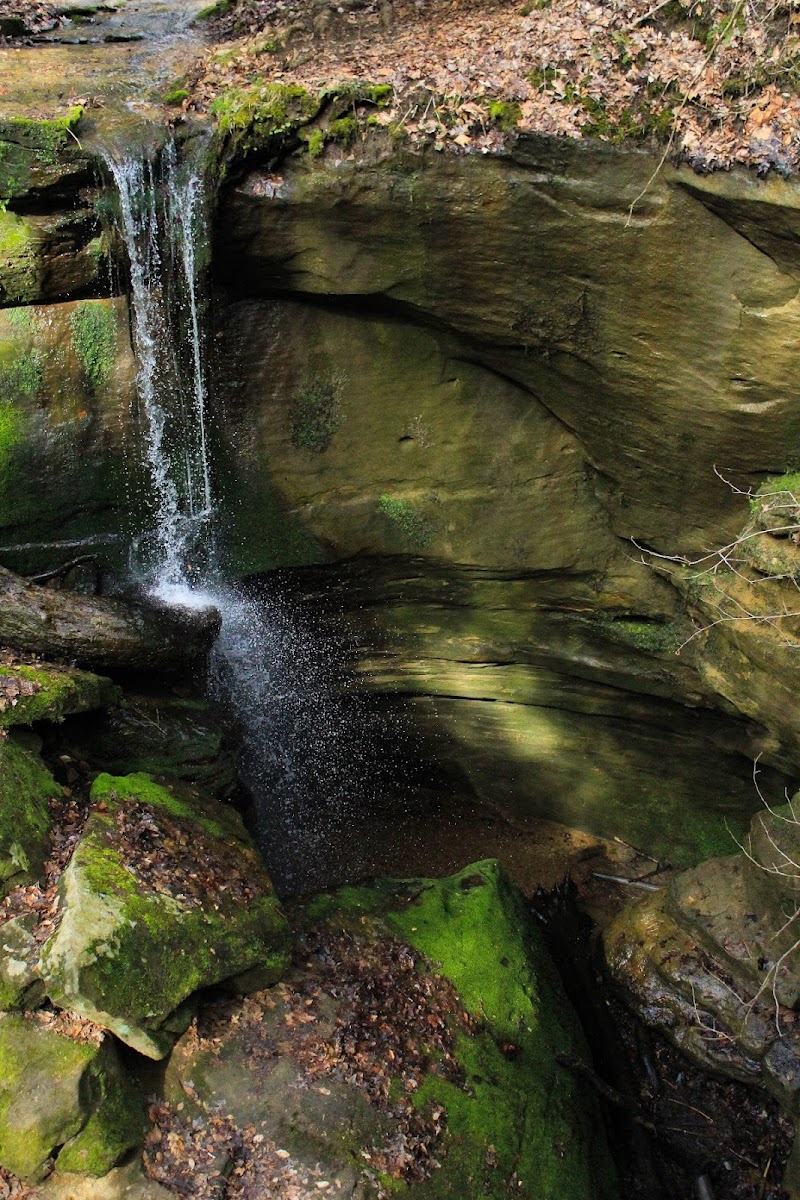 Jug Lake Falls