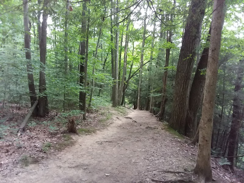 Jug Lake Falls