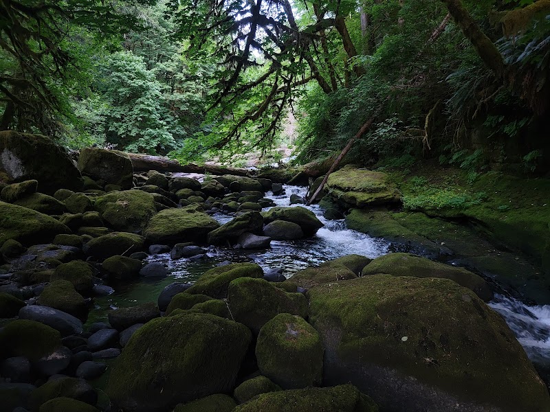 Lake Creek Falls