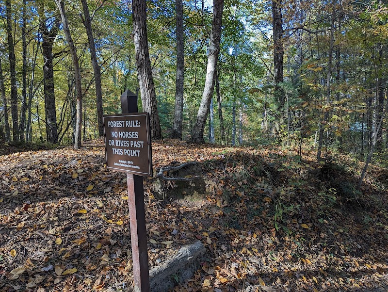 Little Deep Ford Falls
