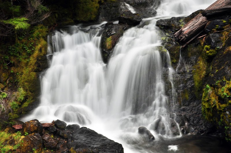 Lower Cougar Creek Falls