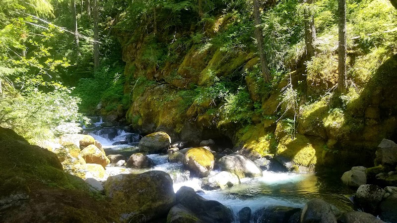 Lower Cougar Creek Falls