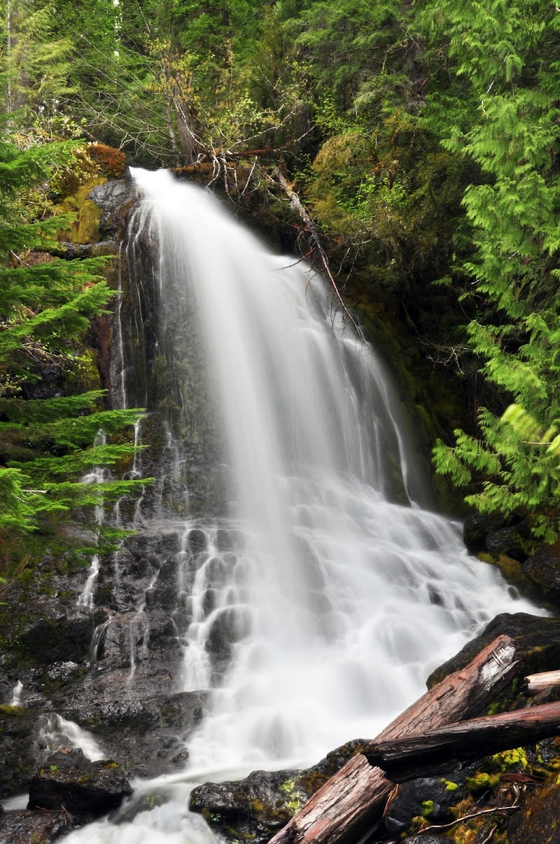Lower Cougar Creek Falls