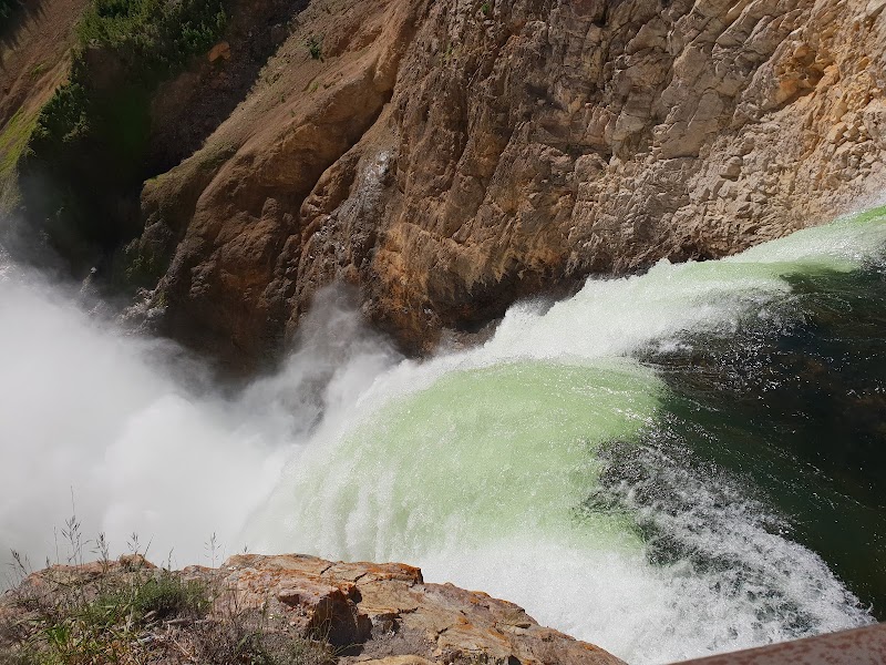 Lower Yellowstone Falls
