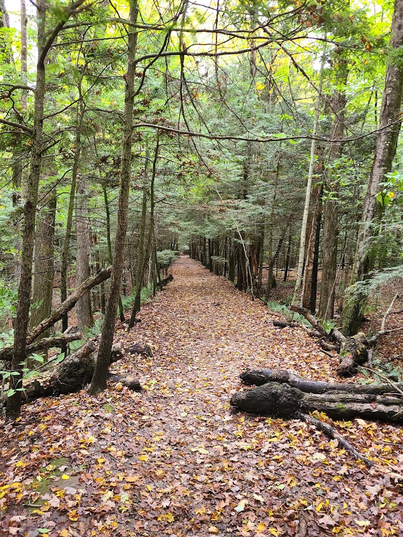 Lye Brook Falls