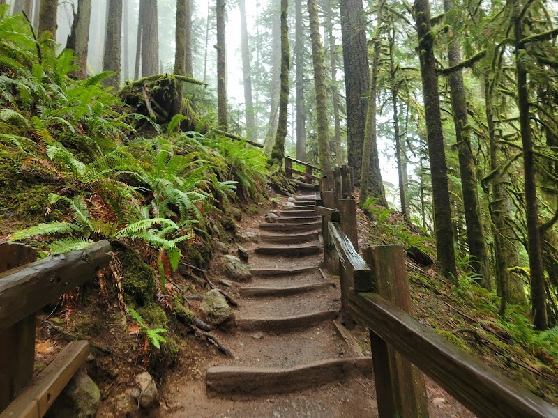 Marymere Falls