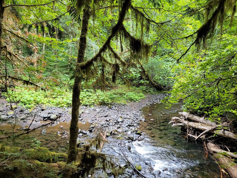 Marymere Falls