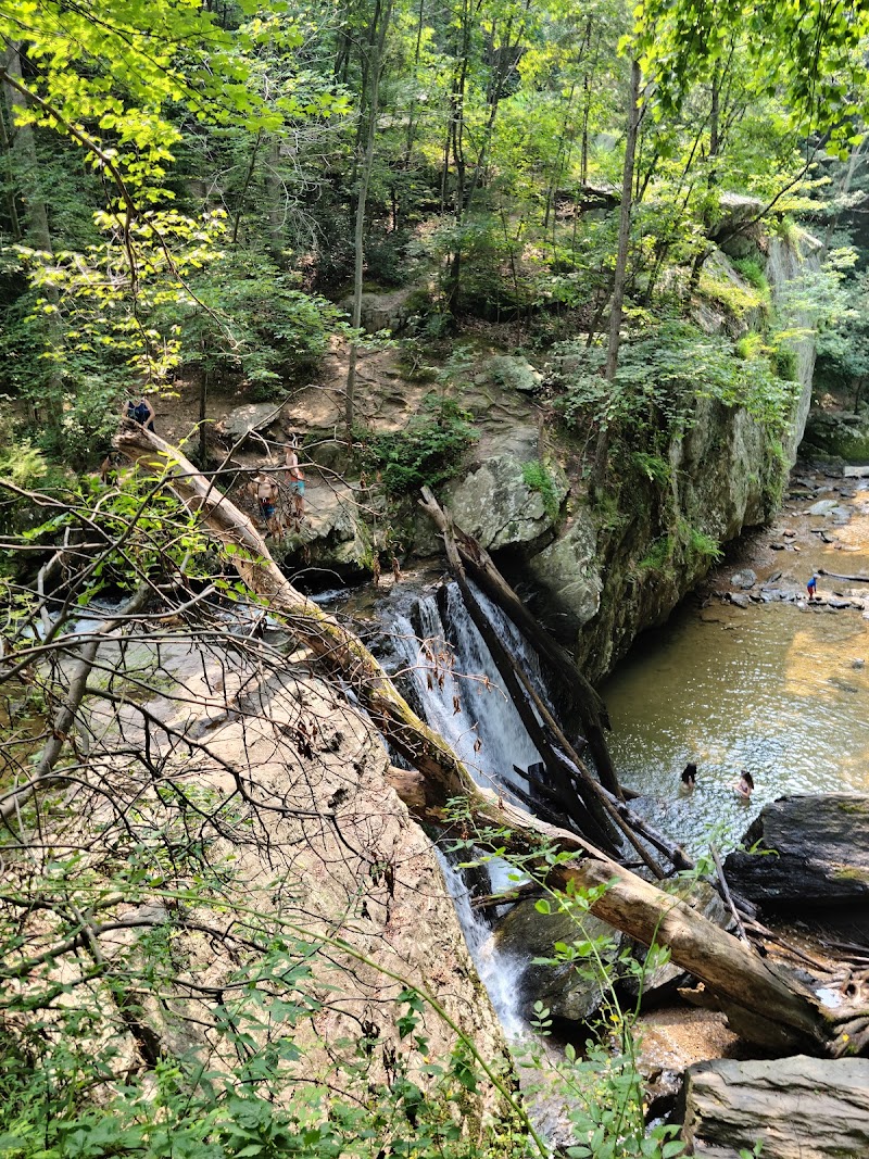 Merritt Falls