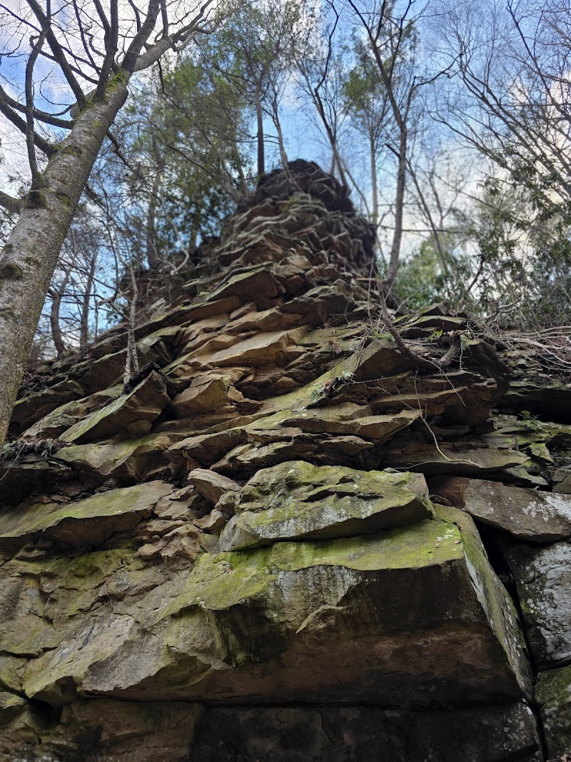 Moss Creek Cascades