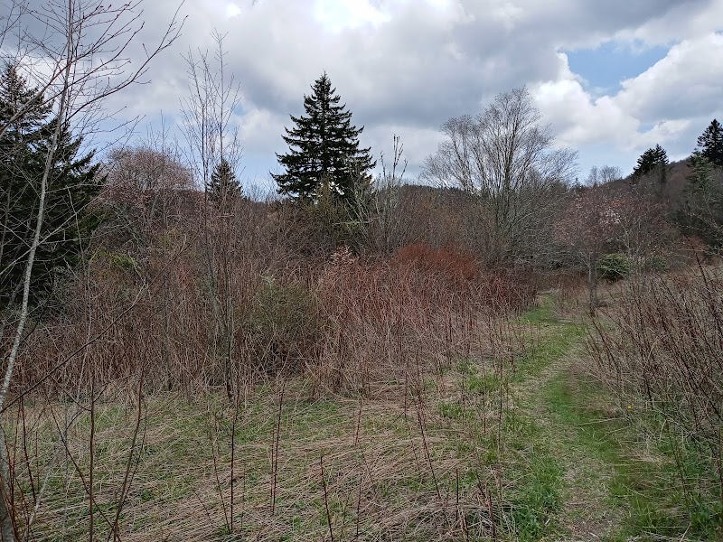 Mount Hardy Falls
