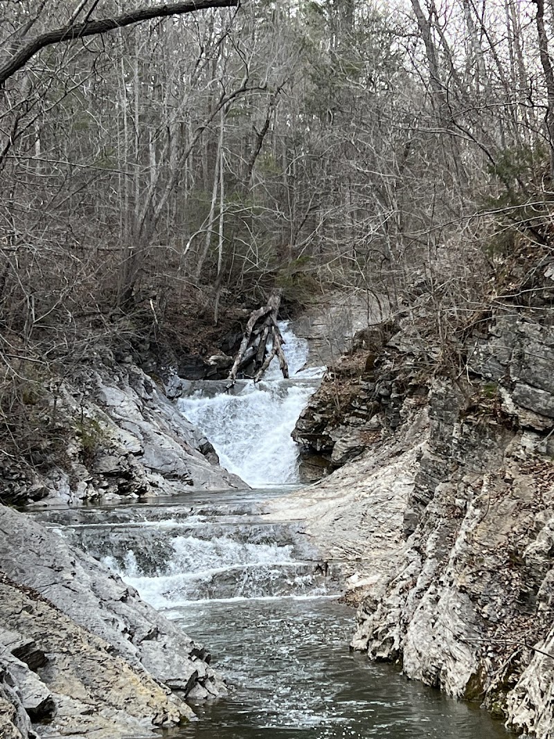 Natural Bridge Falls