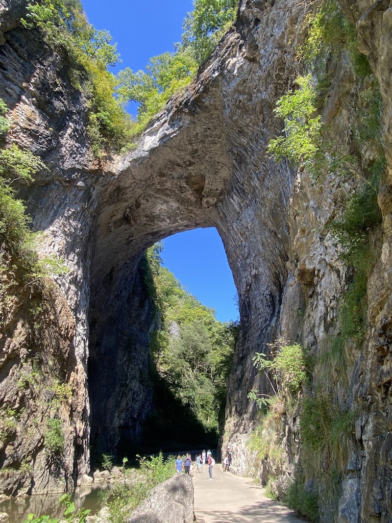 Natural Bridge Falls