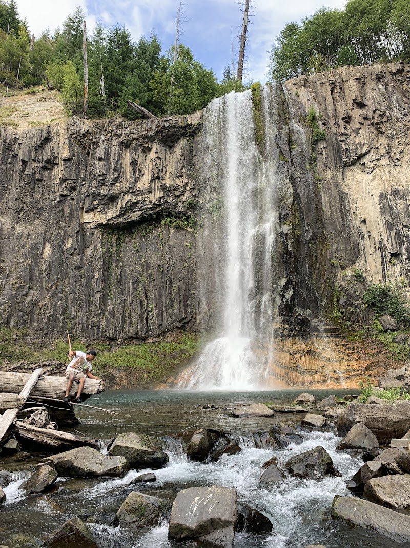 Paradise Falls