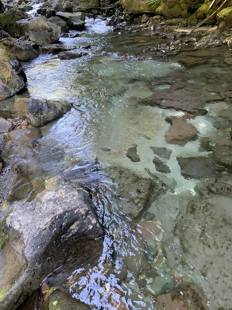 Paradise Falls