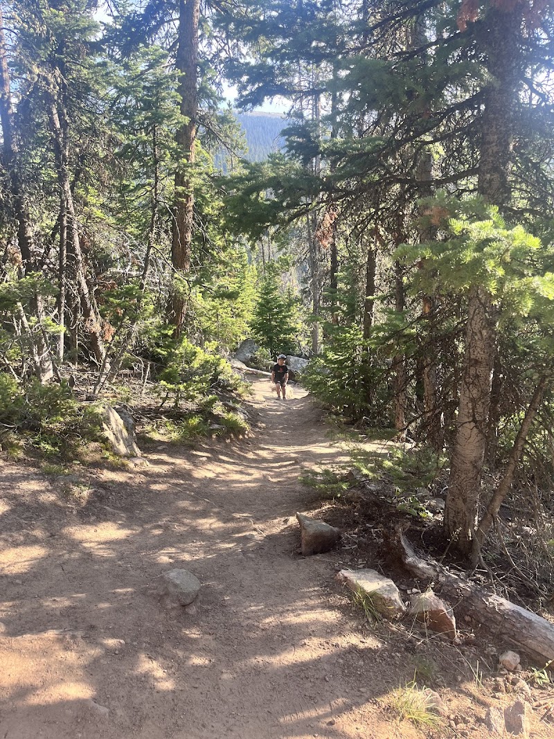 Porcupine Falls