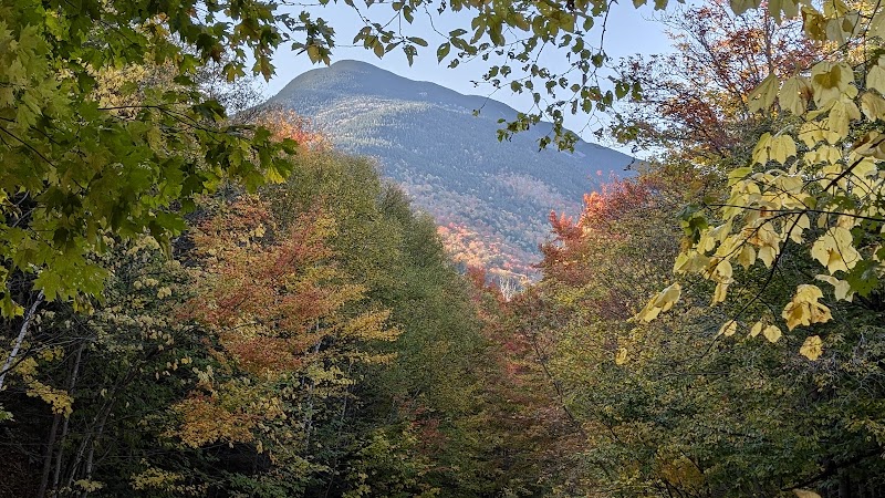 Ripley Falls