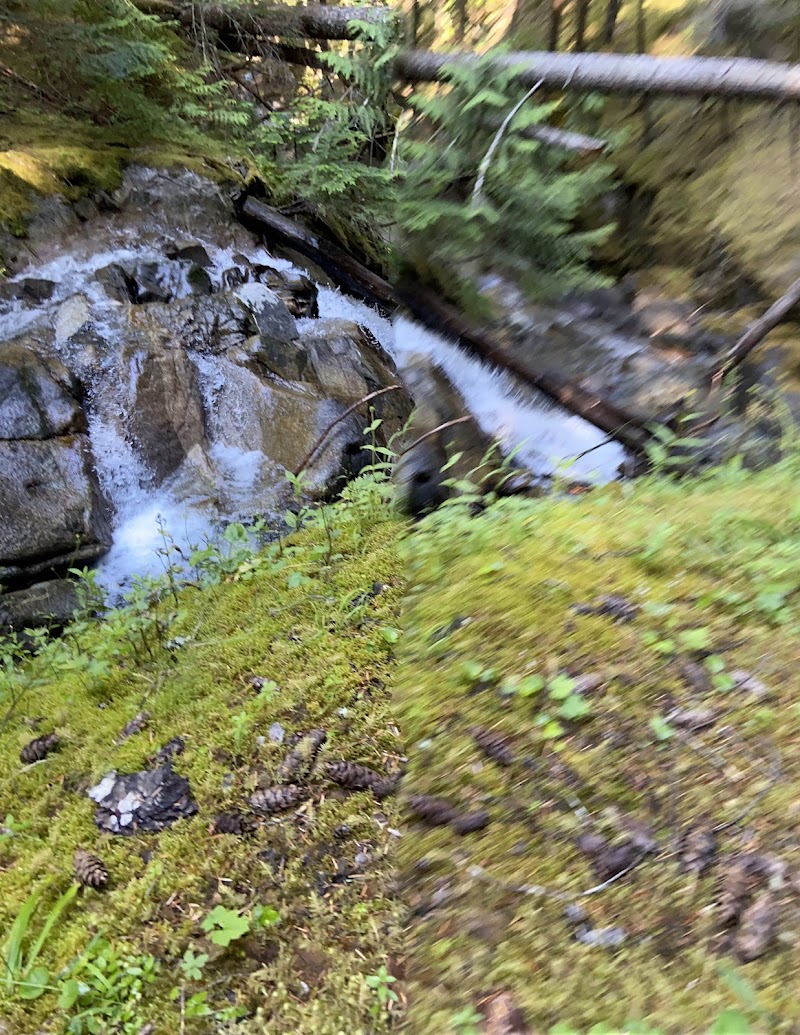Scenic Falls