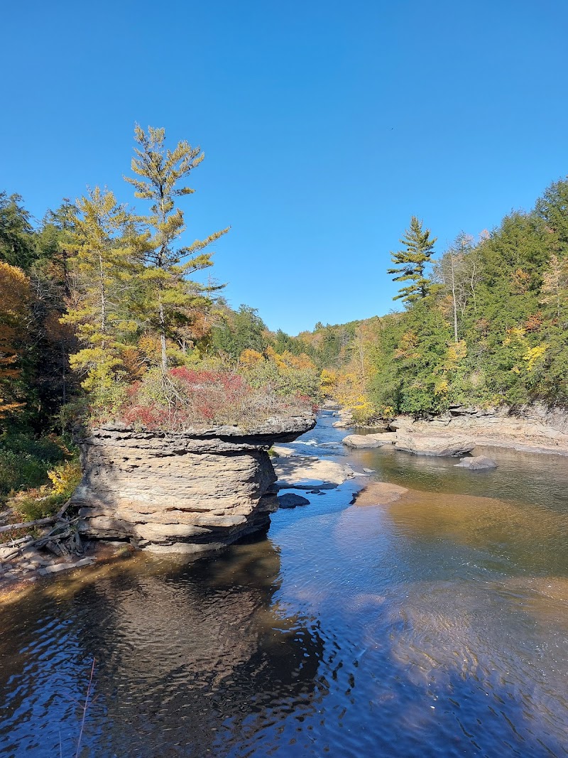 Shady Creek Falls