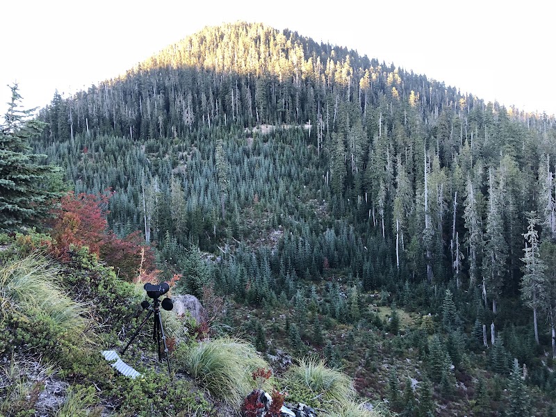 Snagtooth Falls
