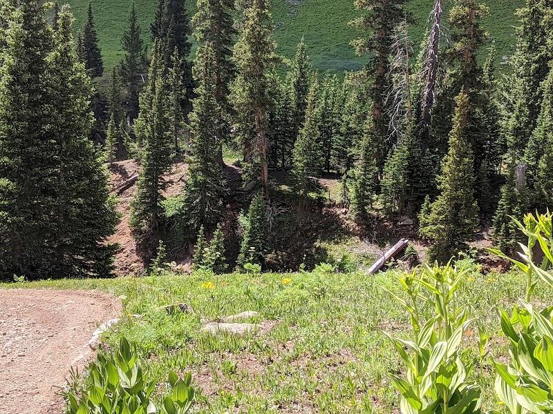 Sneffels Creek Falls
