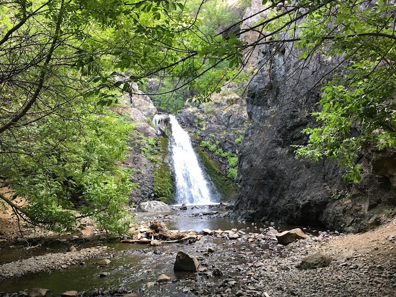 South Dog Mountain Falls