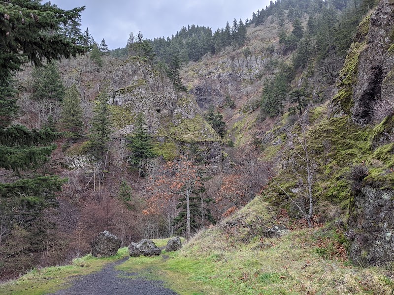 South Dog Mountain Falls