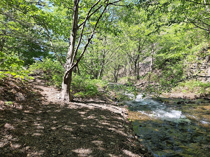 South Dog Mountain Falls