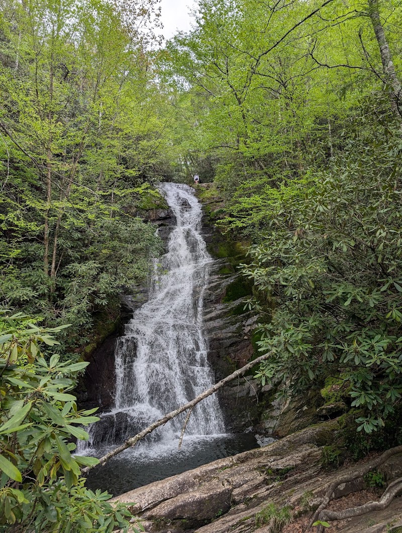 South Fork Woodbury Falls
