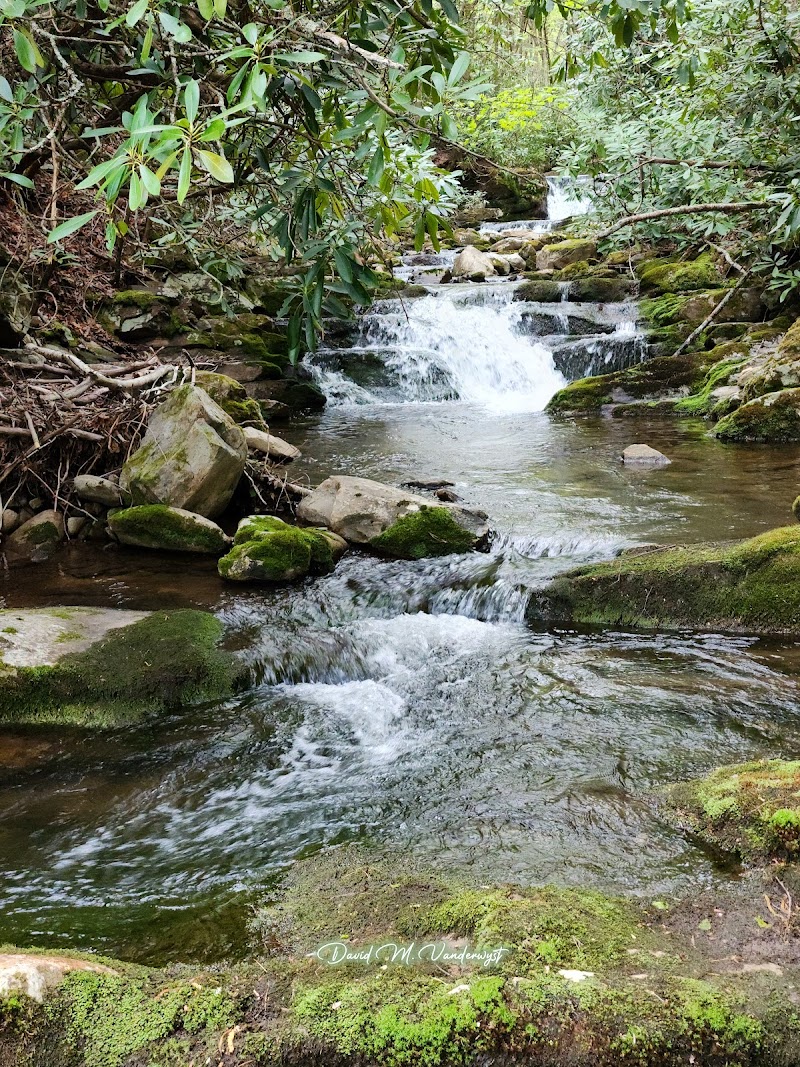 South Fork Woodbury Falls