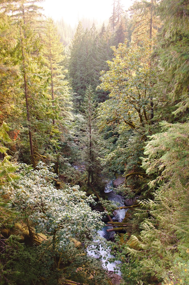Suiattle Falls