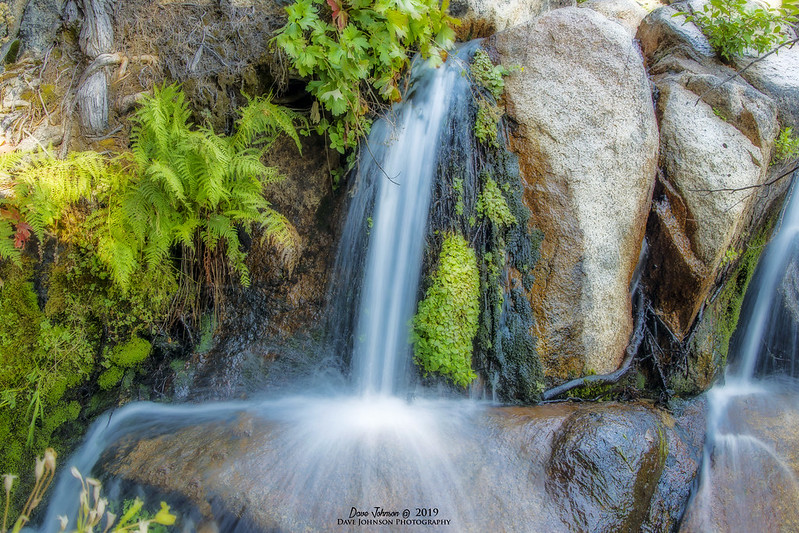 Tamarack Falls