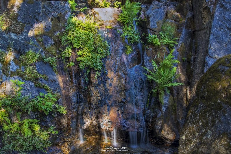 Tamarack Falls